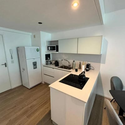 Rental of a cozy 2-room apartment, 50 m², Palermo Nuevo, Buenos Aires, Argentina